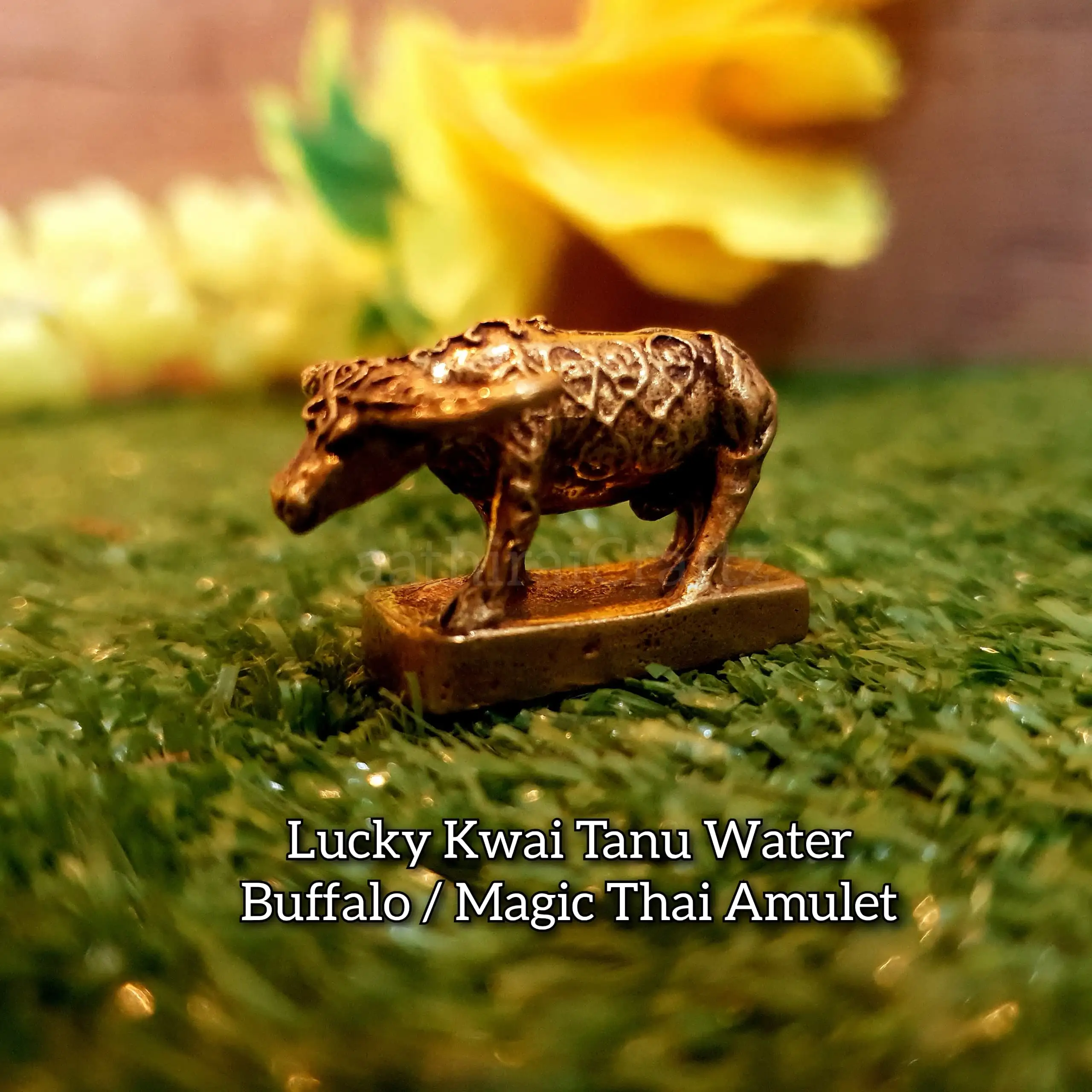 Lucky Kwai Tanu Water Buffalo / Bull