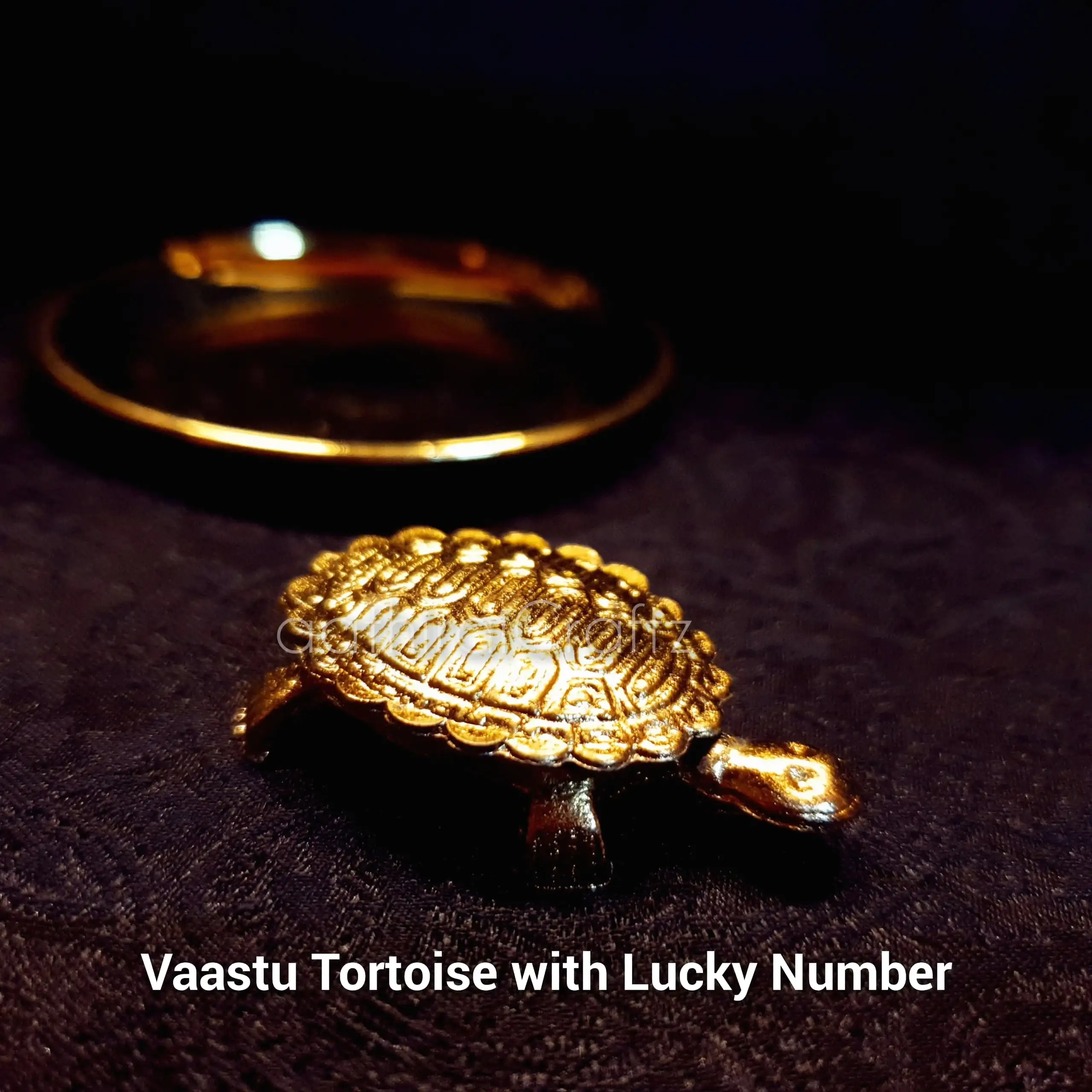 Vaastu Tortoise with Tray and Lucky Number - image 4