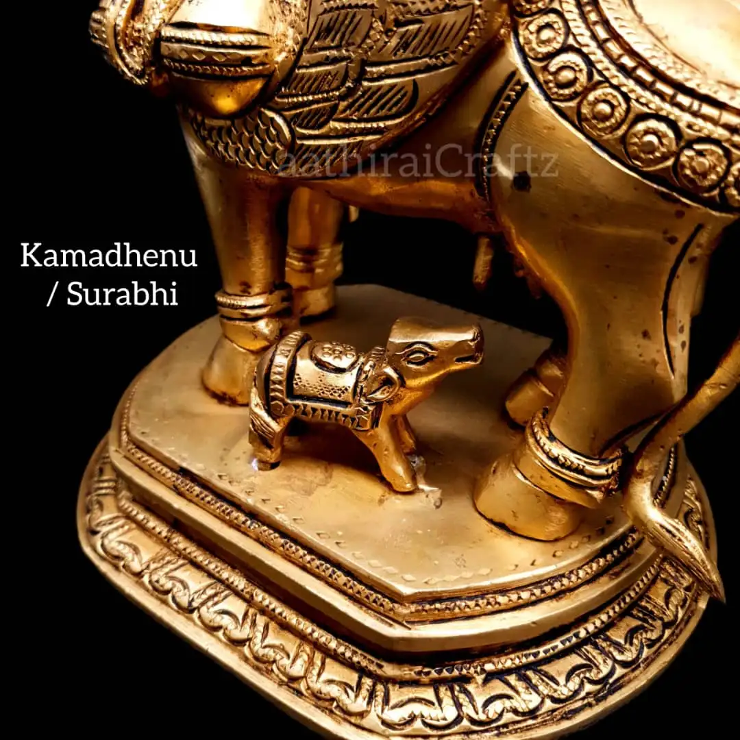 Kamadhenu / Surabhi ( B ) - image 4