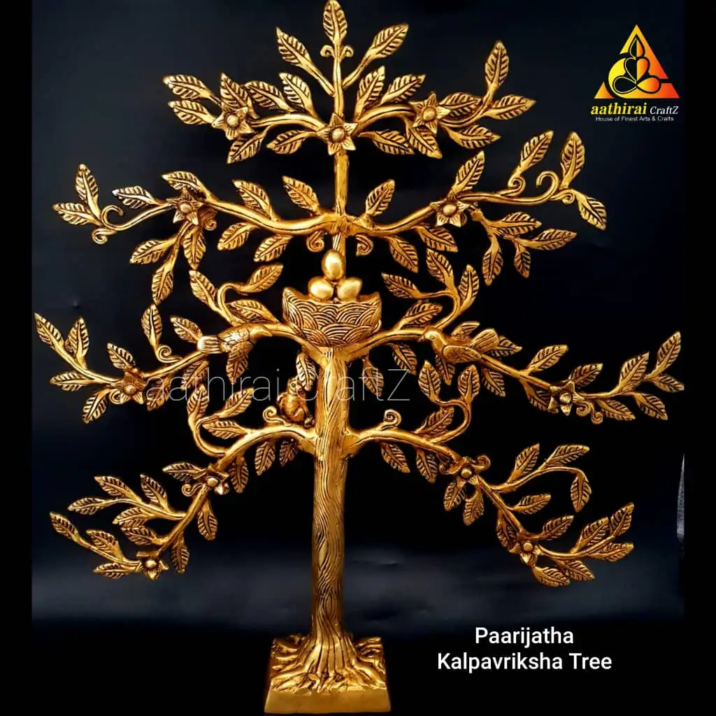 Paarijatha Kalpavriksha Tree   20 inches Karpaga Maram / - image 5