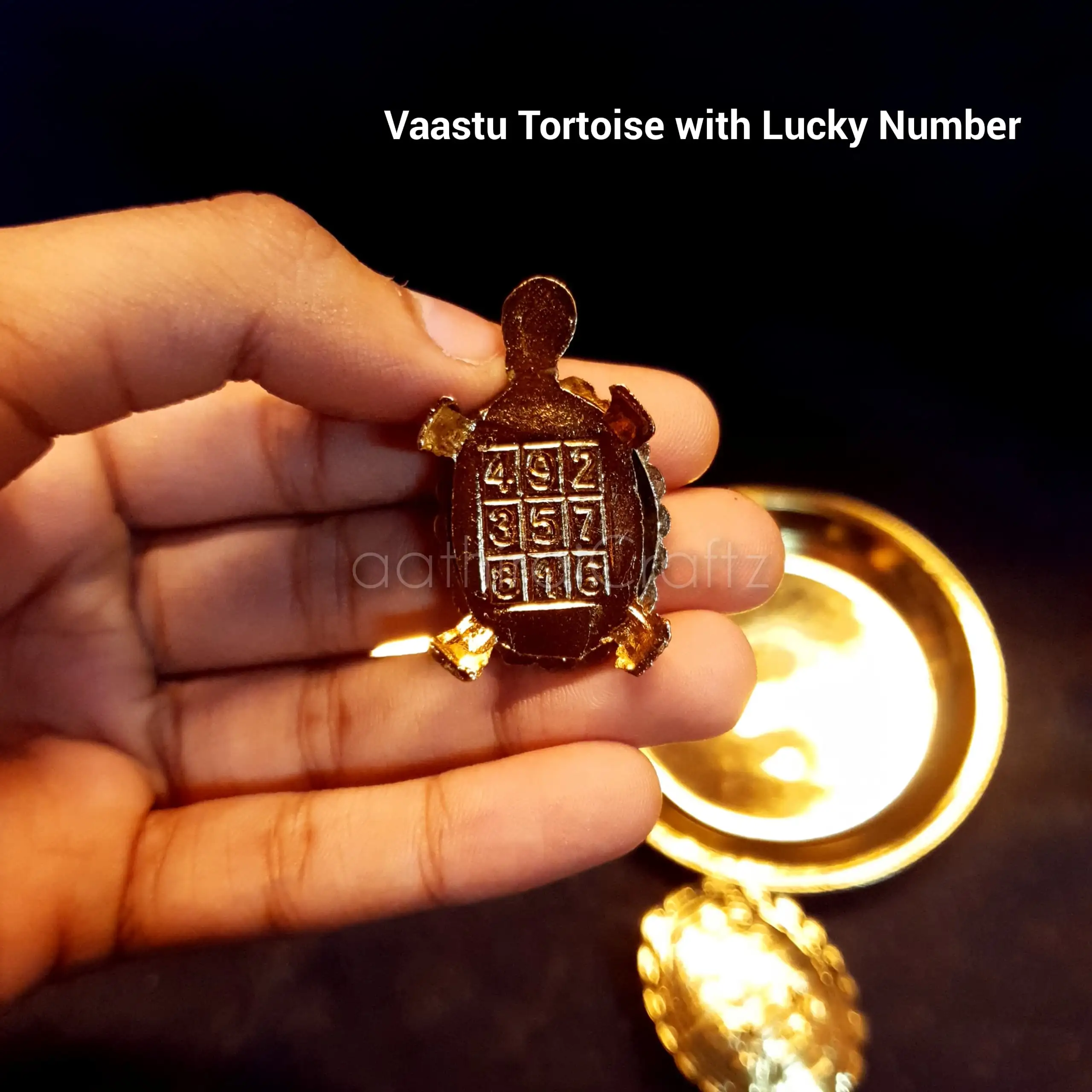 Vaastu Tortoise with Tray and Lucky Number - image 2