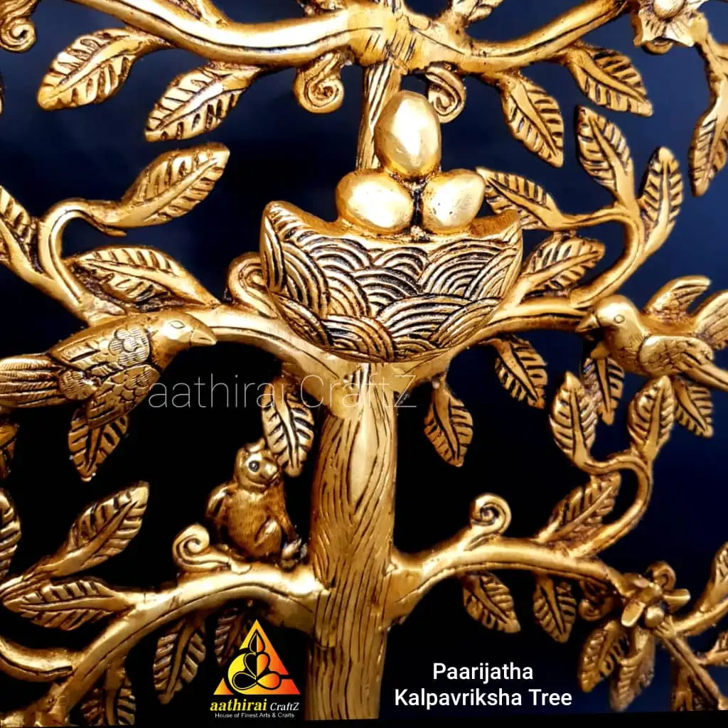 Paarijatha Kalpavriksha Tree   20 inches Karpaga Maram / - image 3