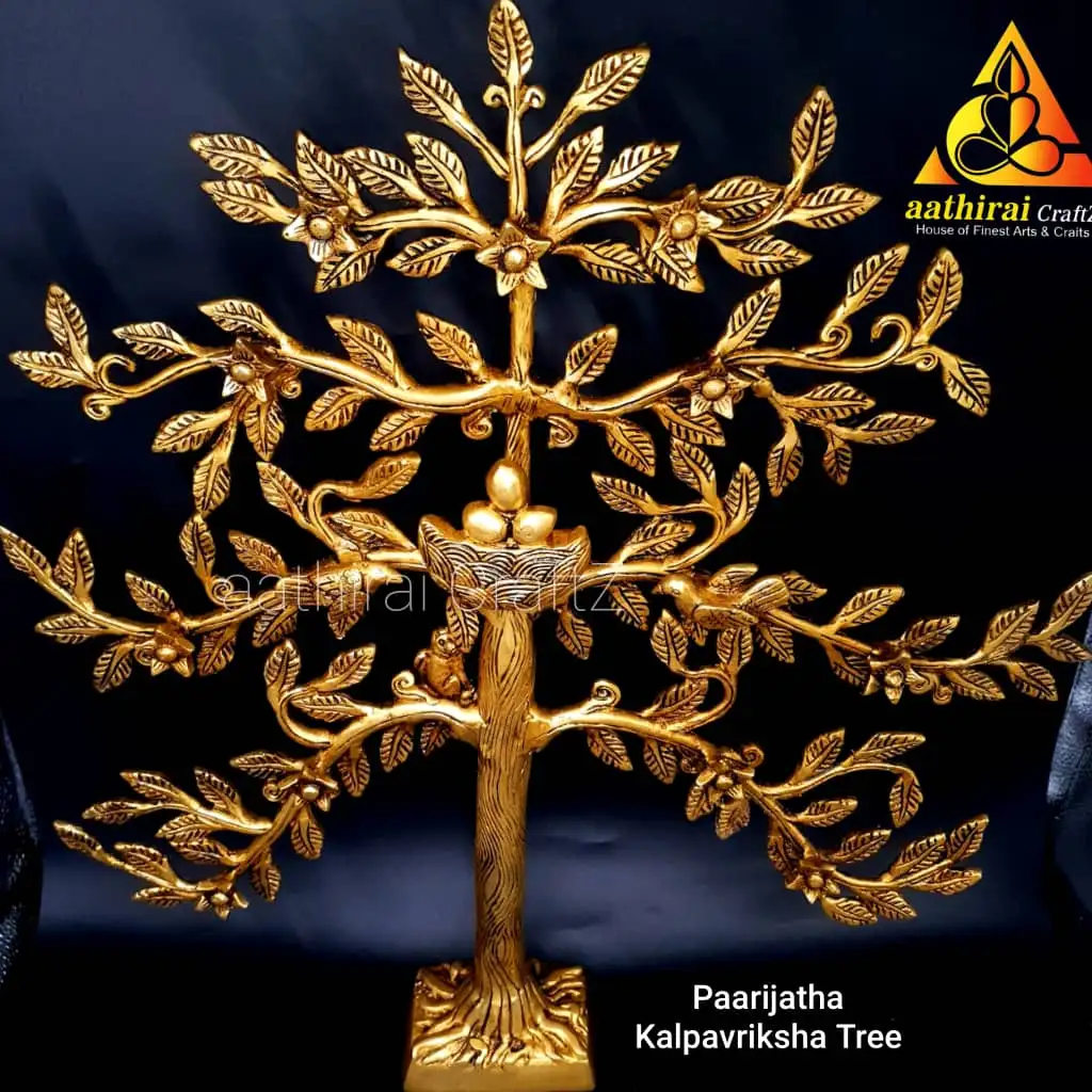 Paarijatha Kalpavriksha Tree   20 inches Karpaga Maram / - image 4