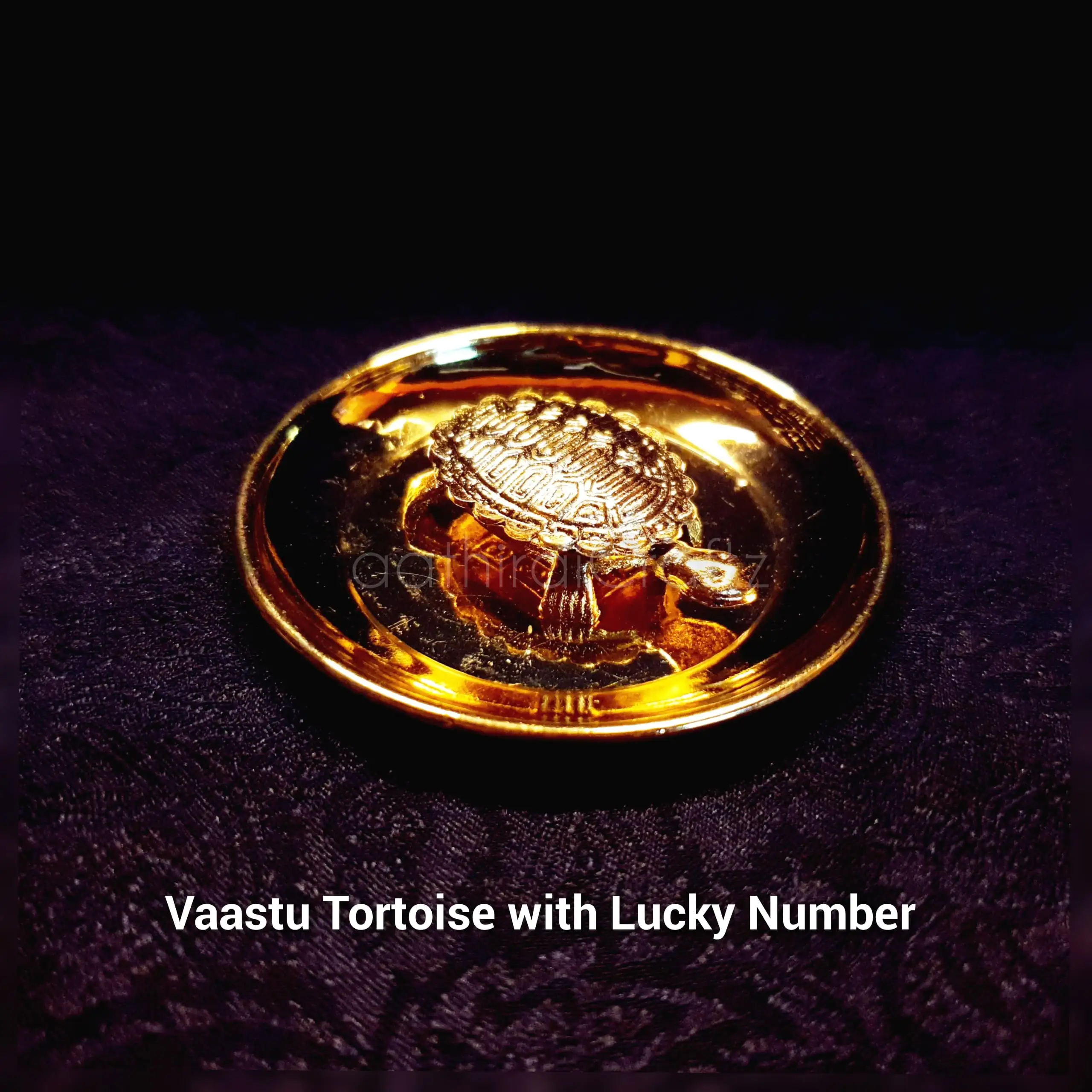 Vaastu Tortoise with Tray and Lucky Number - image 3