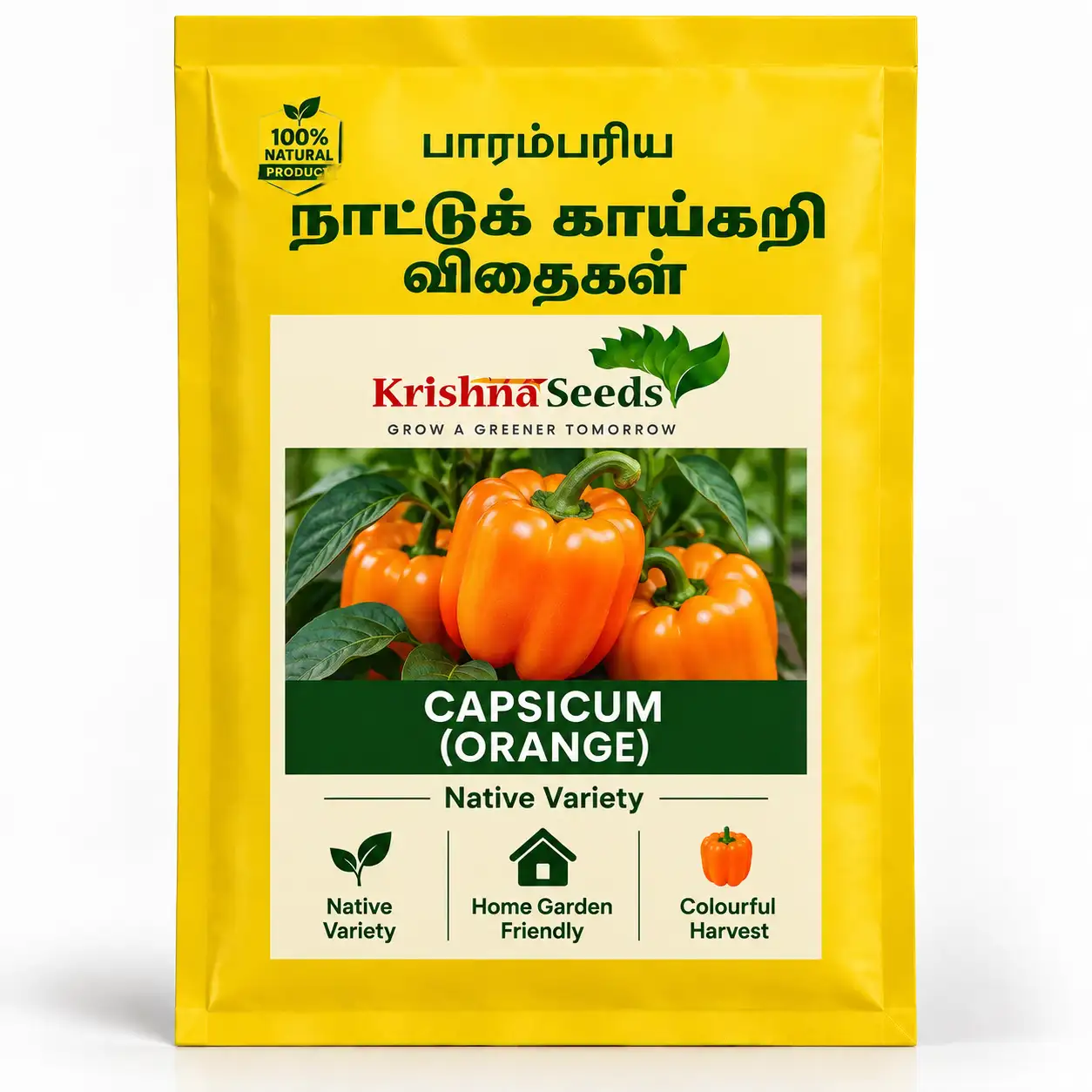 Capsicum ( Orange)