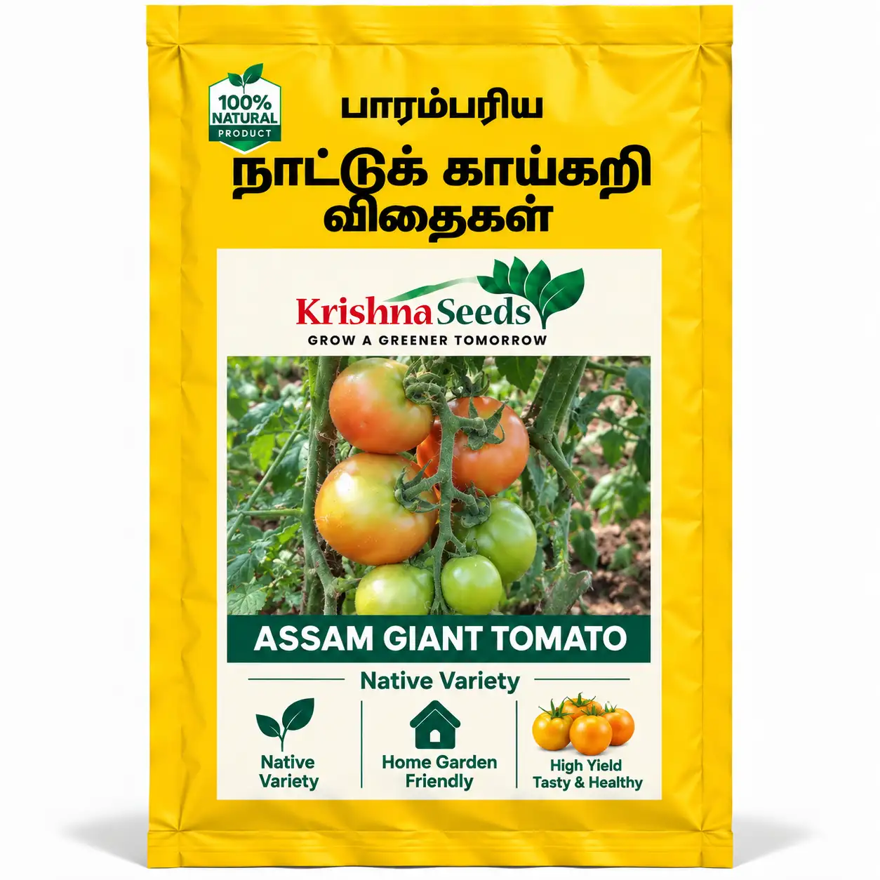 Assam Giant Tomato