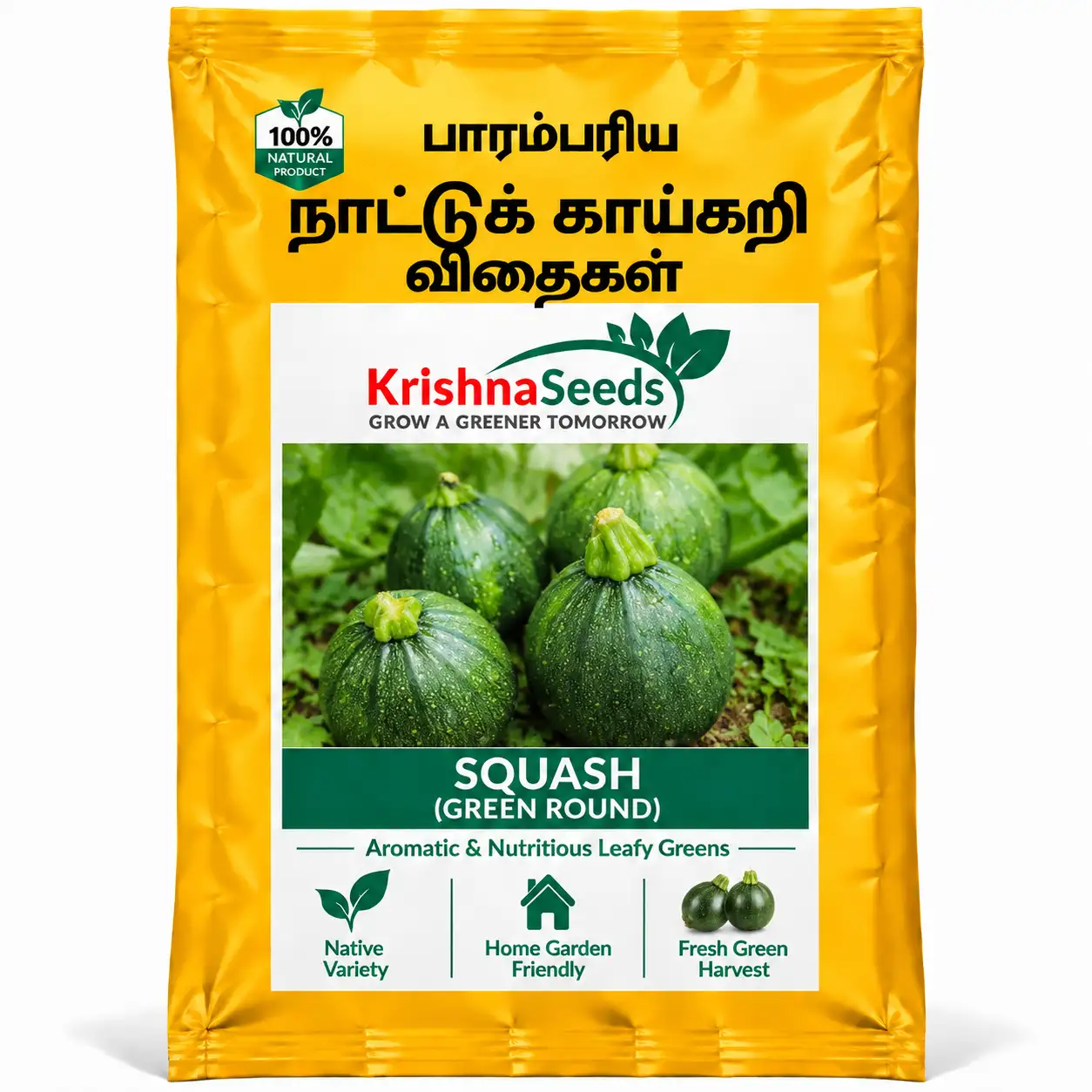 Squash ( Green Round)