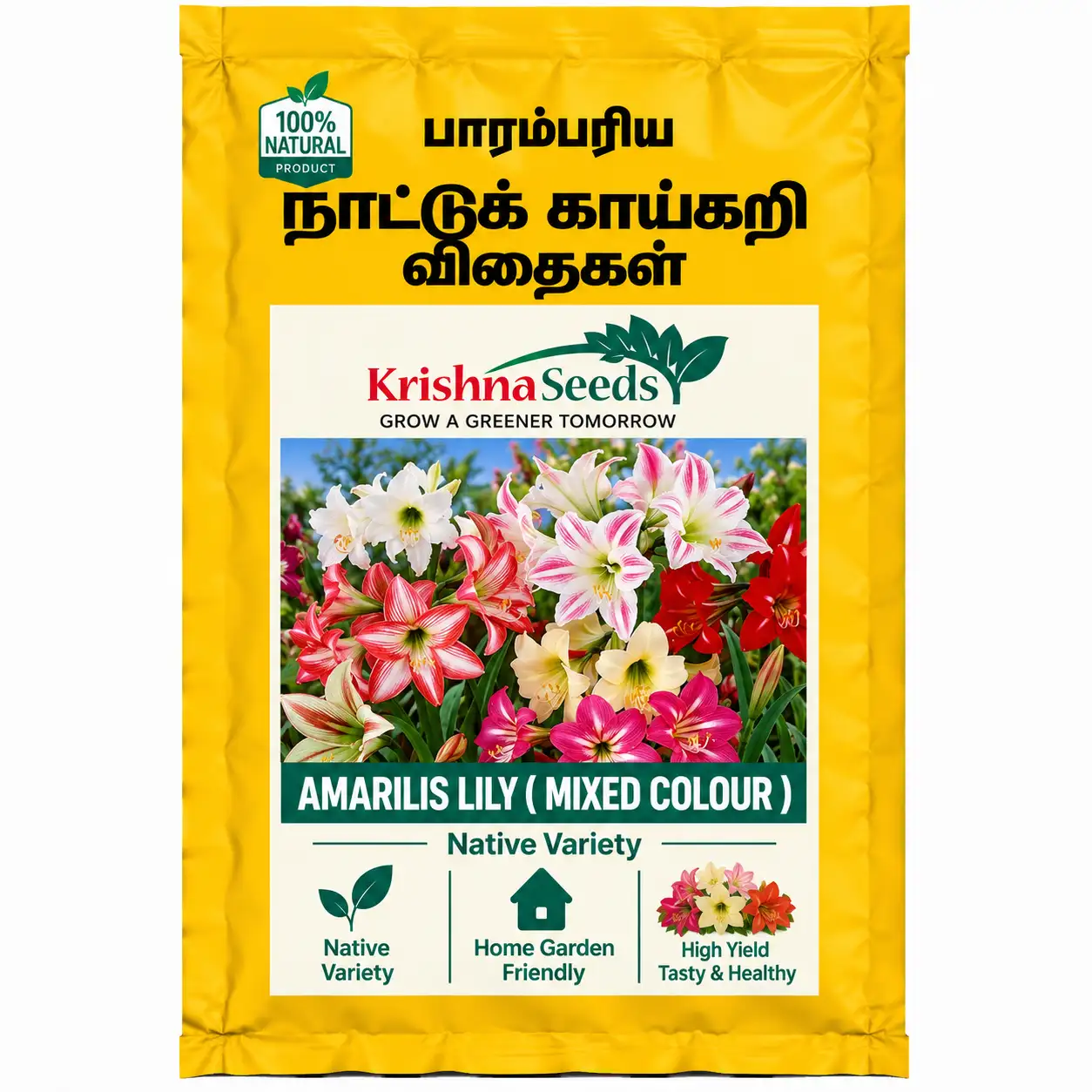 Amarilis Lily ( Mixed Colour )