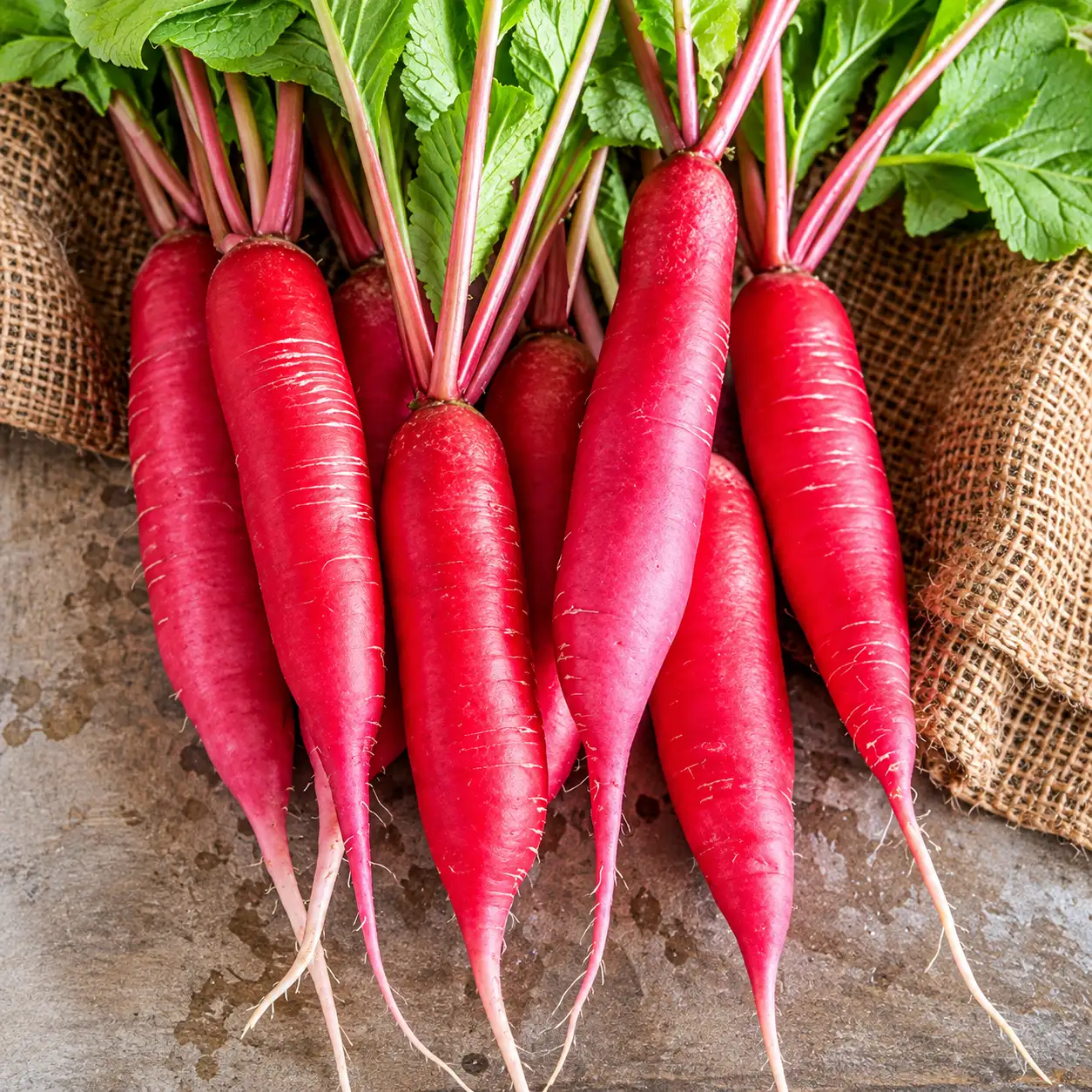 High-Altitude Vegetables