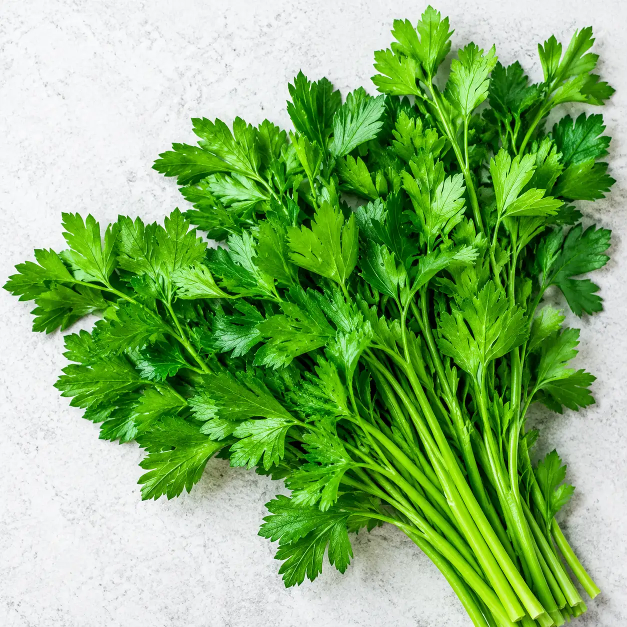 Parsley
