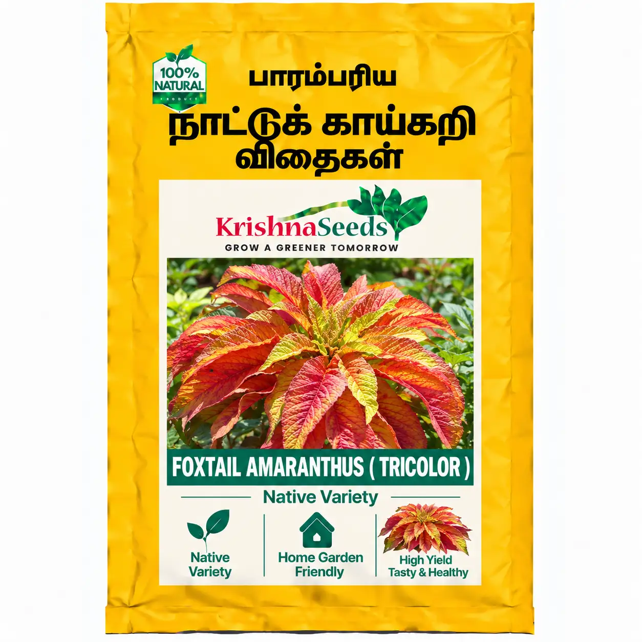 Foxtail Amaranthus ( Tri Colour)