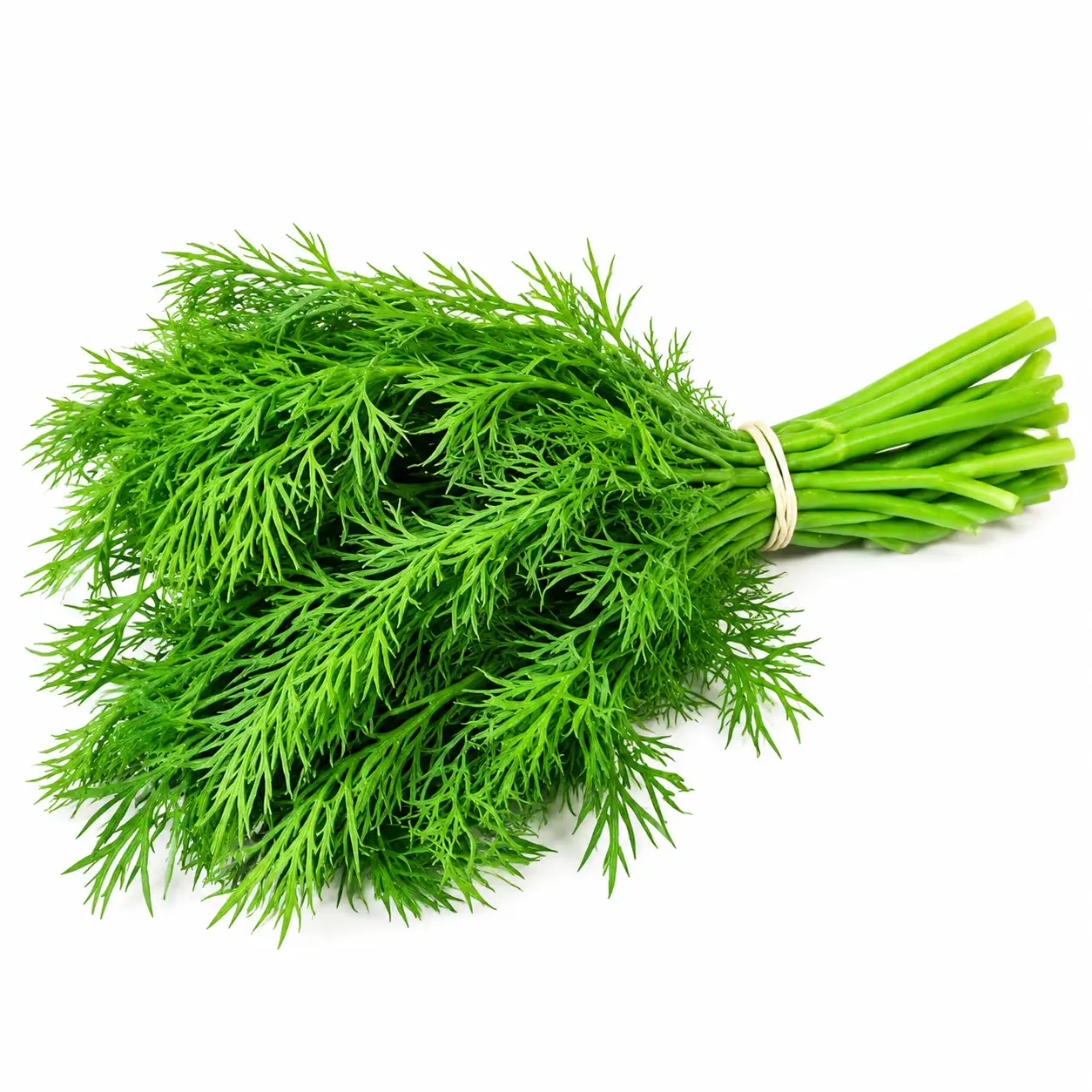 Dill