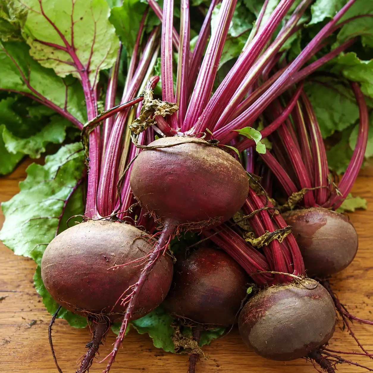 Beetroot