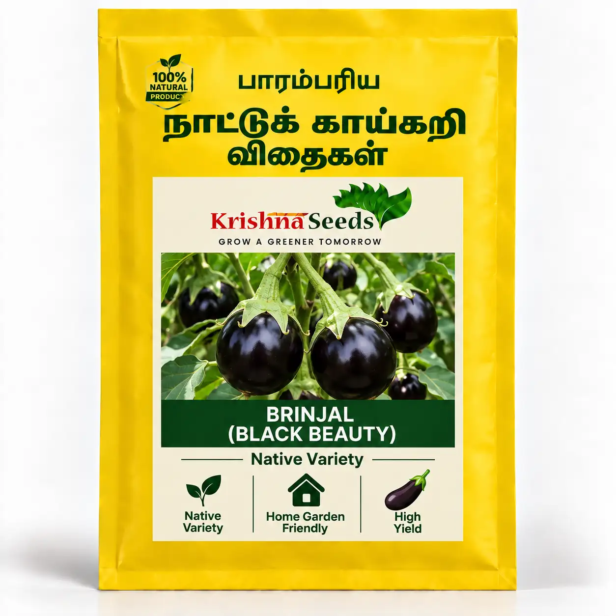 Brinjal ( Black Beauty)