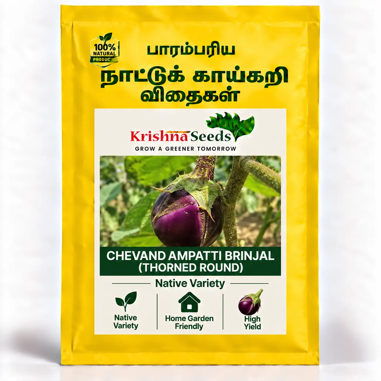 Chevandhampatti Brinjal