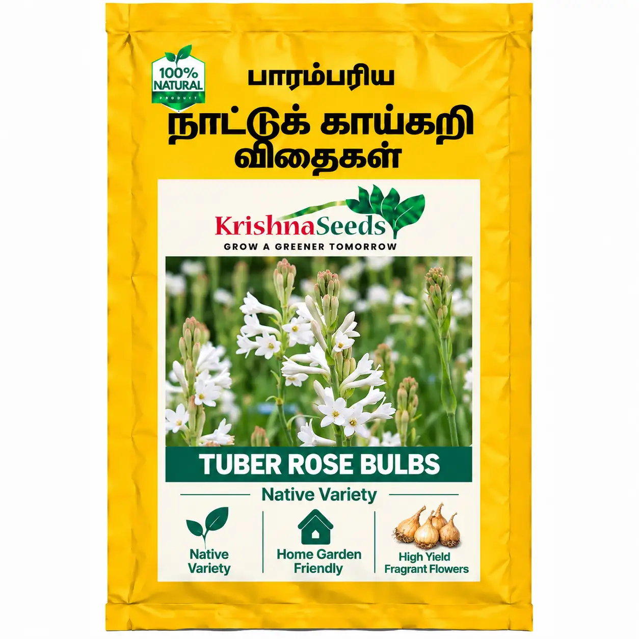 Tuber Rose Bulbs