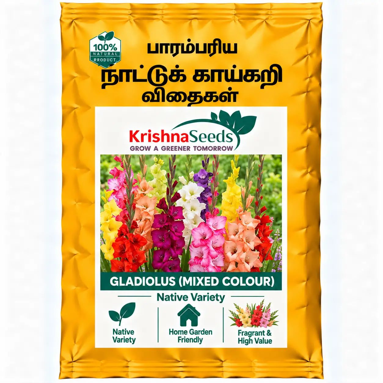 Gladiolus ( Mixed Colour )